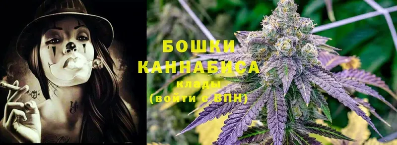 где можно купить   Нововоронеж  Марихуана OG Kush 